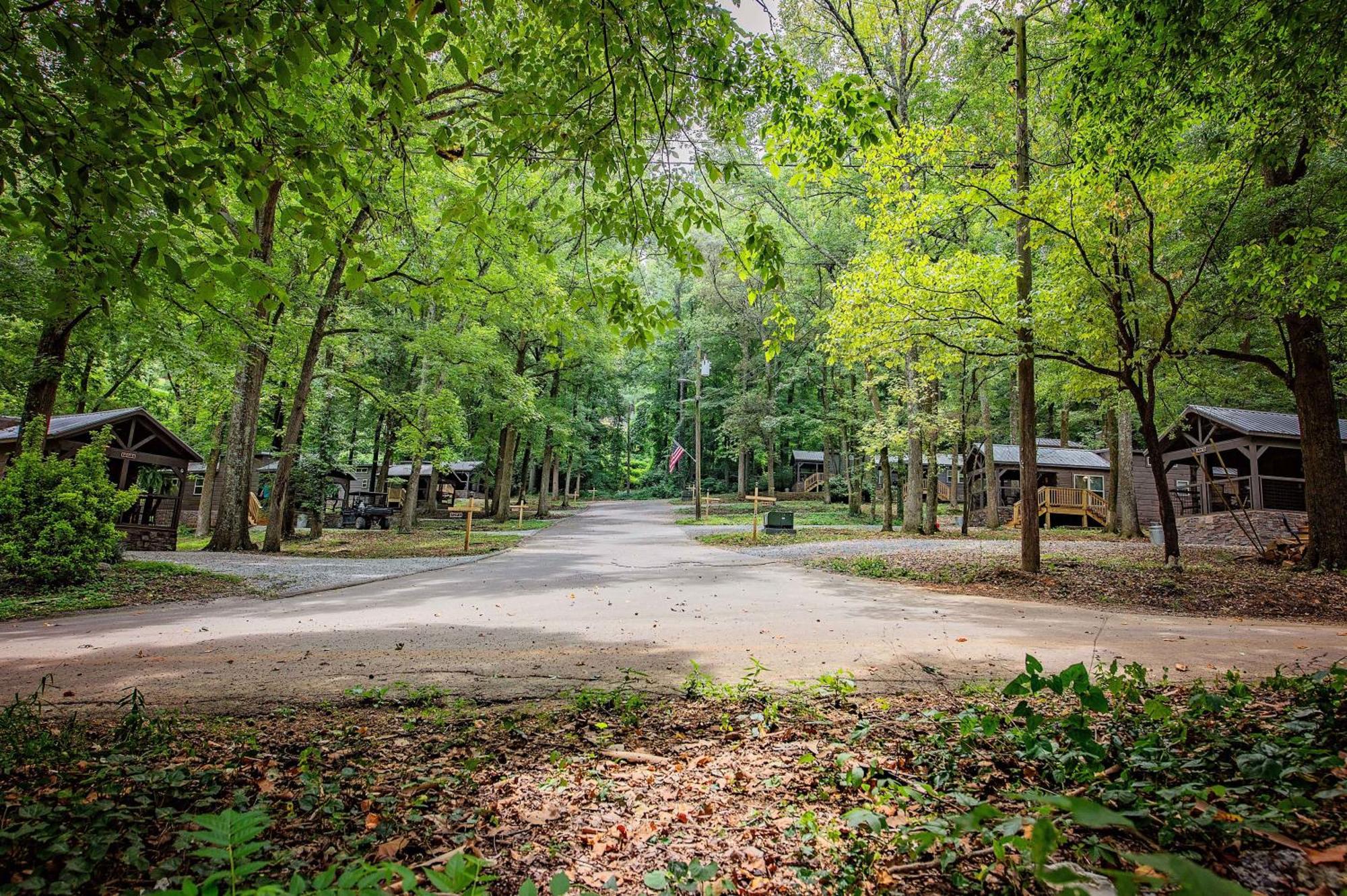 Martha Cabin Tiny Cabin By Downtown Chattanooga Ngoại thất bức ảnh